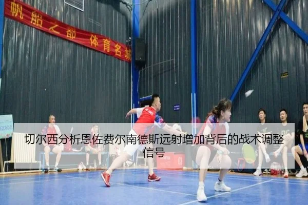 qie-er-xi-fen-xi-en-zuo-fei-er-nan-de-si-yuan-she-zeng-jia-bei-hou-de-zhan-shu-tiao-zheng-xin-hao-3-996.jpg