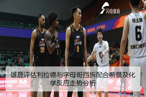 雄鹿评估利拉德与字母哥挡拆配合前景及化学反应走势分析